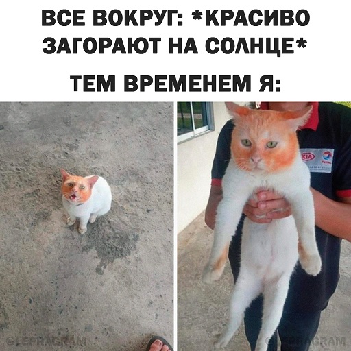 Пандемия съехавших крыш. Разновидности болезни. Россия и мир. Часть 36