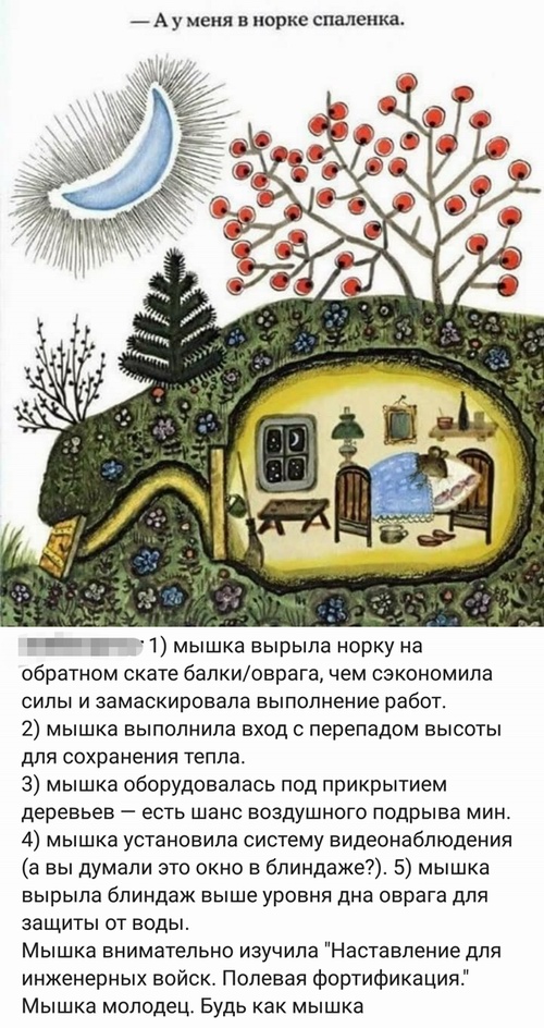 Забавные комментарии из социальных сетей (20.06.22)