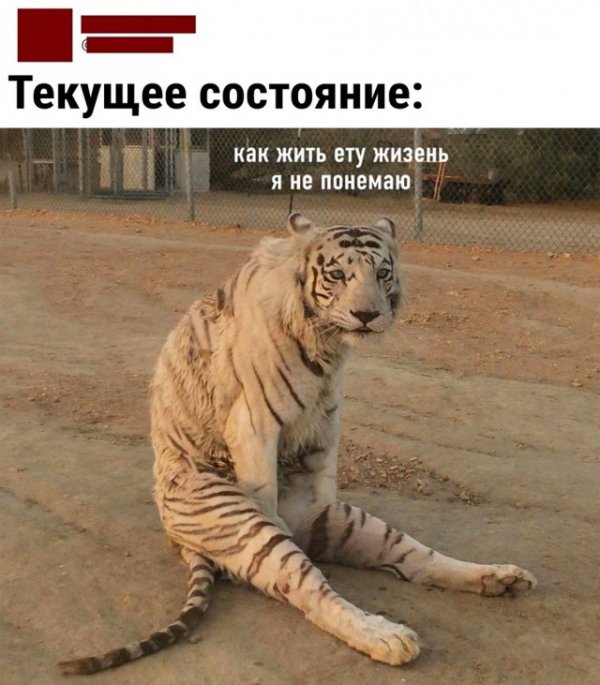 16892587.jpg