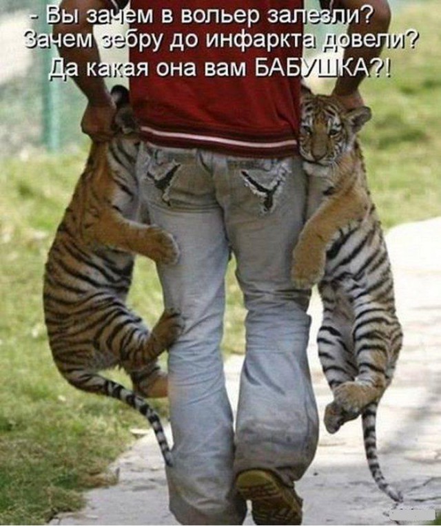 "-Че, утята, встряли?"