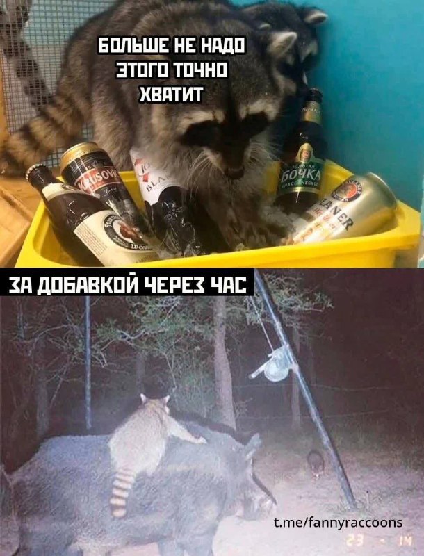 Немного картинок для настроения - 137