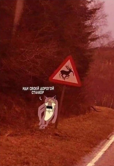 Нуштош 27.08.23