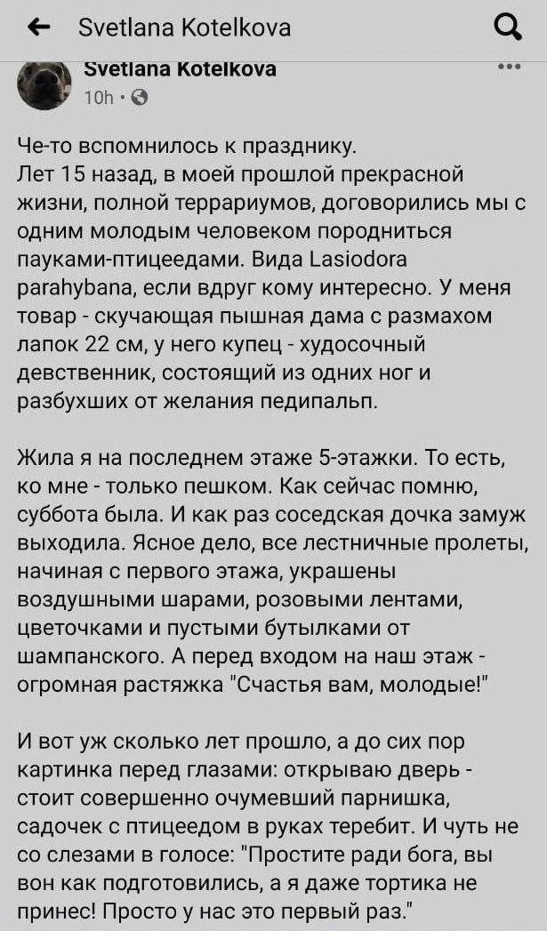 Так себе картинки 02.11.23