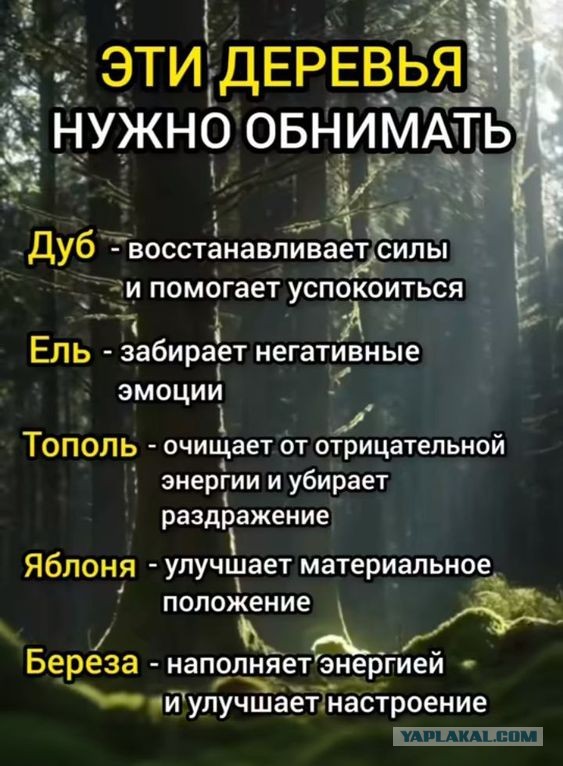 Прикольные и просто красивые картинки 09.08.2024