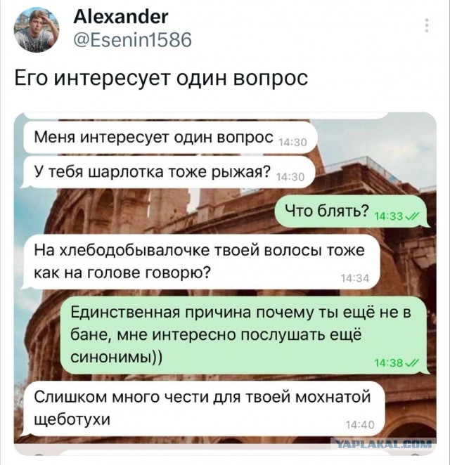 Любимицы солнца!