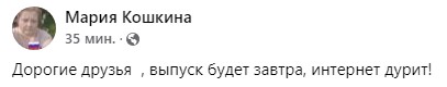 Жизнь домашнего приюта для котеек 517