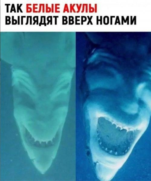 Картинков вам разных.