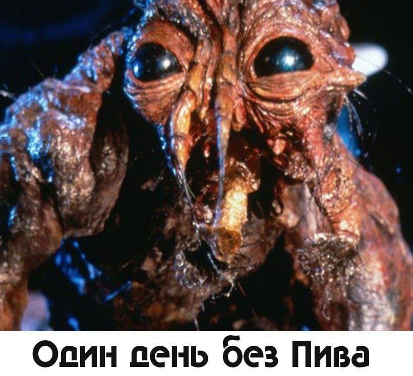 Всего понемногу. От 10.01.2025