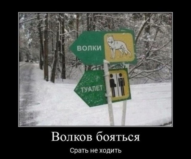 Так себе картинки 28.01.25
