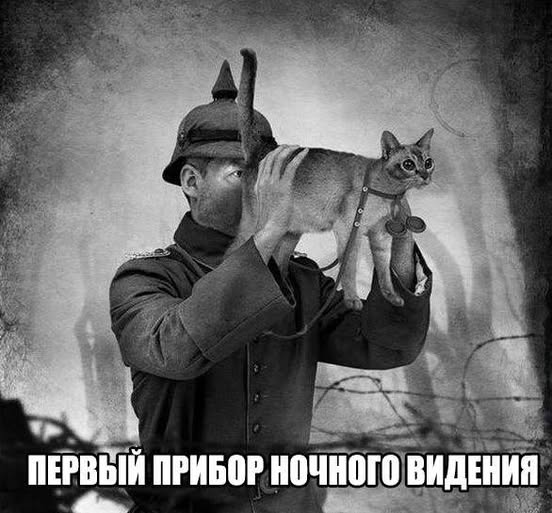 Завалялось тут случайно немного забавных картинок