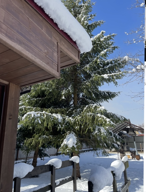 Запределье. Лента