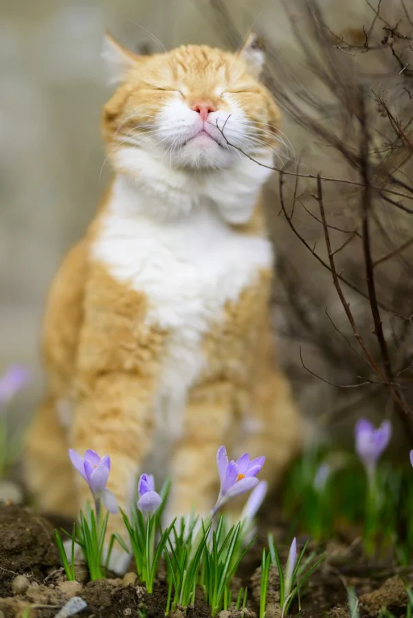 ⚡ ЯП, с Днем Рождения! 21 год ЯПу!