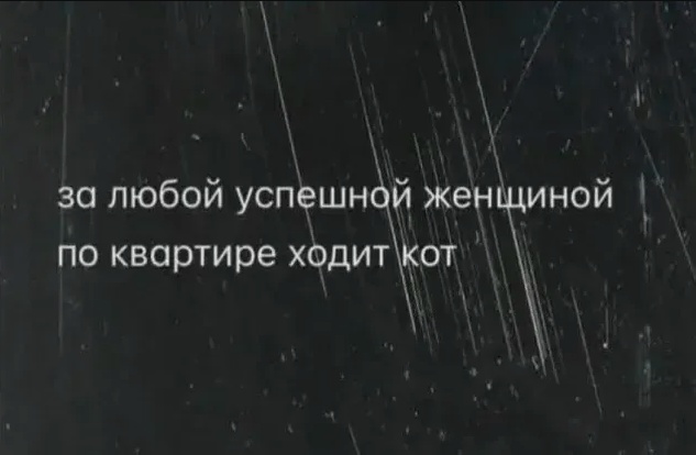 Картинки для деградации 66 (разной степени свежести)