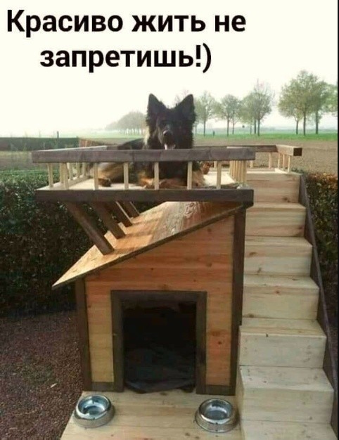 Так себе картинки 02.11.25