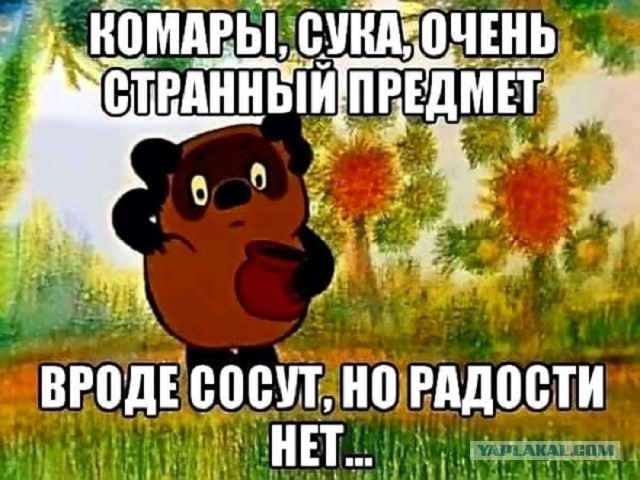 Веселые картинки _)