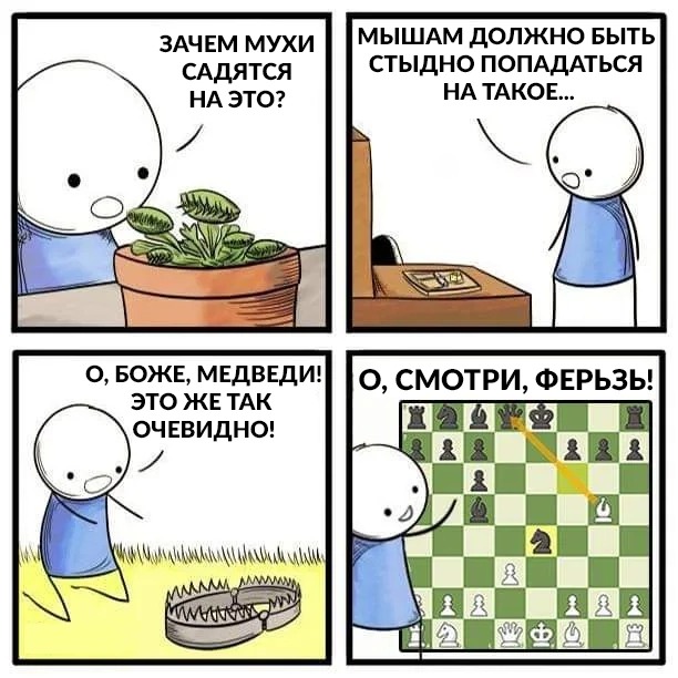 Нуштош 27.01.2026. Шахматный спецвыпуск