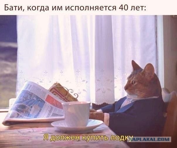 Картинки для деградации 129 (разной степени свежести)