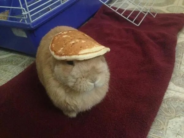 Забавные и интересные фото из Сети 23.04.26