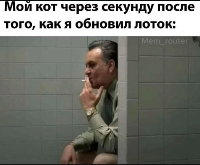 Веселые картинки в понедельник (04.05)