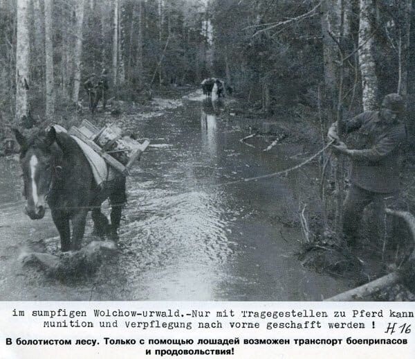 Июнь 1942-го. Агония 2 ударной армии Волховского фронта