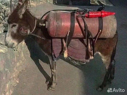 В свете последних событий