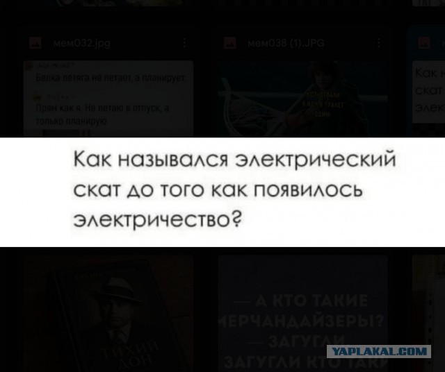 Картинки для деградации 291 (разной степени свежести)