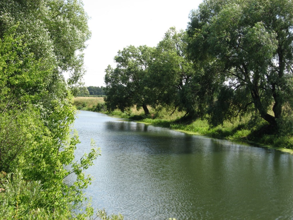 Река вожа в рыбном