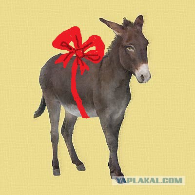 Соц сеть Таджикистана