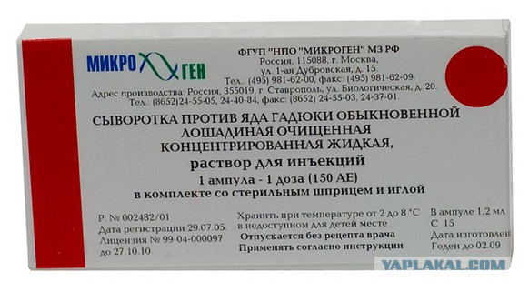 Если вас укусила гадюка..