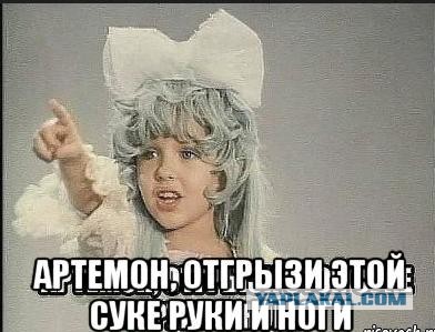 Тимошенко: Россия вернет Крым