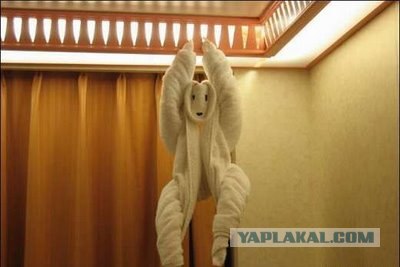 Как горничные в Гоа заправляют кровати