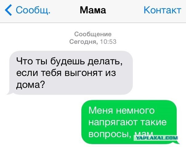 Смешные комментарии из соц.сетей