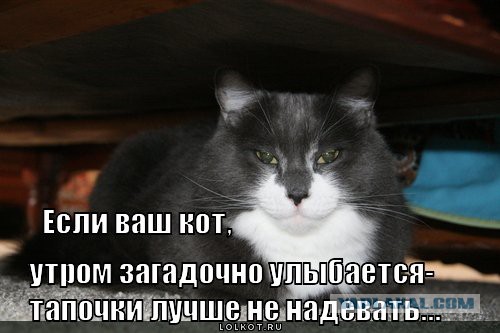 Смешное из сети