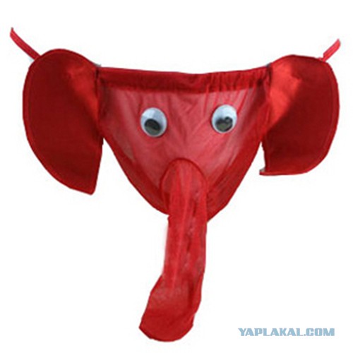 манит меня манит красными труселями. Смотреть фото манит меня манит красными труселями. Смотреть картинку манит меня манит красными труселями. Картинка про манит меня манит красными труселями. Фото манит меня манит красными труселями манит меня манит красными труселями. Смотреть фото манит меня манит красными труселями. Смотреть картинку манит меня манит красными труселями. Картинка про манит меня манит красными труселями. Фото манит меня манит красными труселями