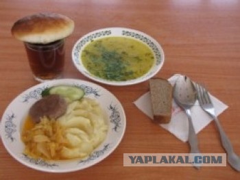 Школьные обеды с разных уголков планеты