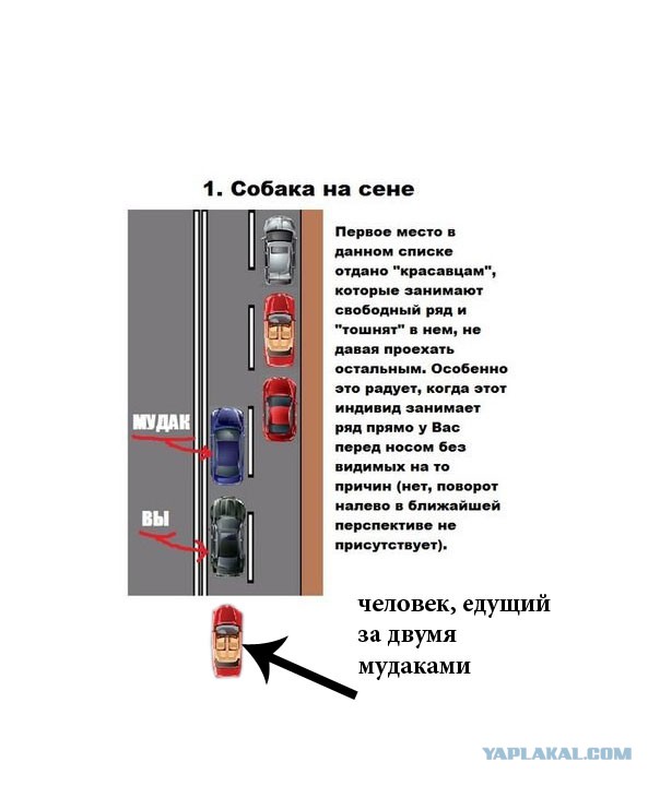 "Чудаки" на дорогах