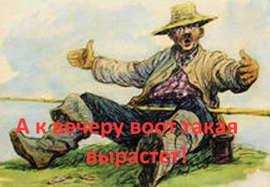Wargaming 23