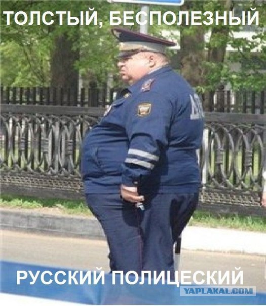 На страже закона