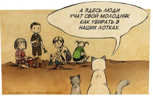 Картинки из инета