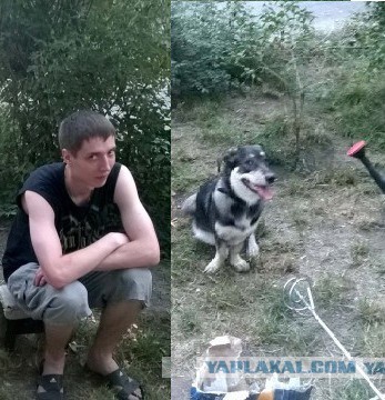 Запиливание балкона, терем для котов и "ежи".