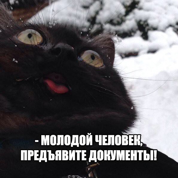 Картинки и демотиваторы