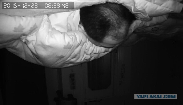 За что я люблю китайцев