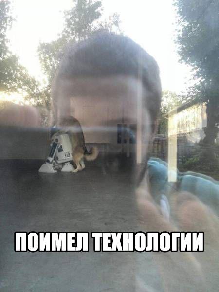 Разные картинки