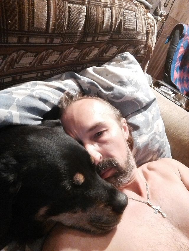 Скотинки - Животинки