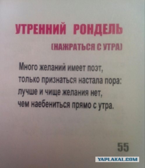 29 юморных открыток