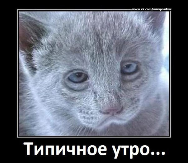 Для веселья пост