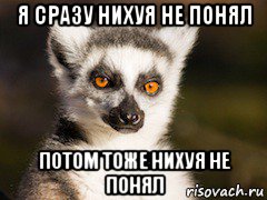 Арья Старк изобразила продавщицу, не смотревшую «Игру престолов»