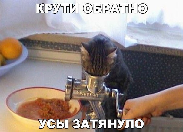 Весёлые картинки