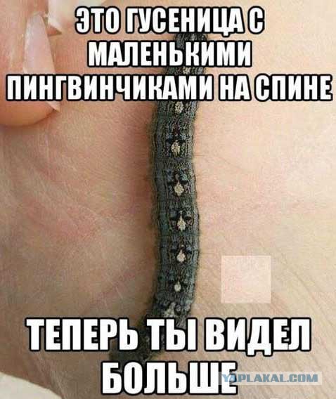 Подборка картинок