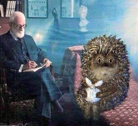 Сборище абсурда